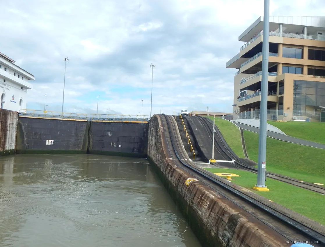 Gatun Lake wildlife spotted during a Panama Canal boat tour